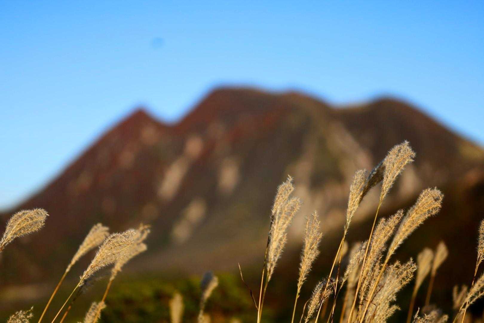 牧ノ戸峠-黒岩山 往復コースの写真
