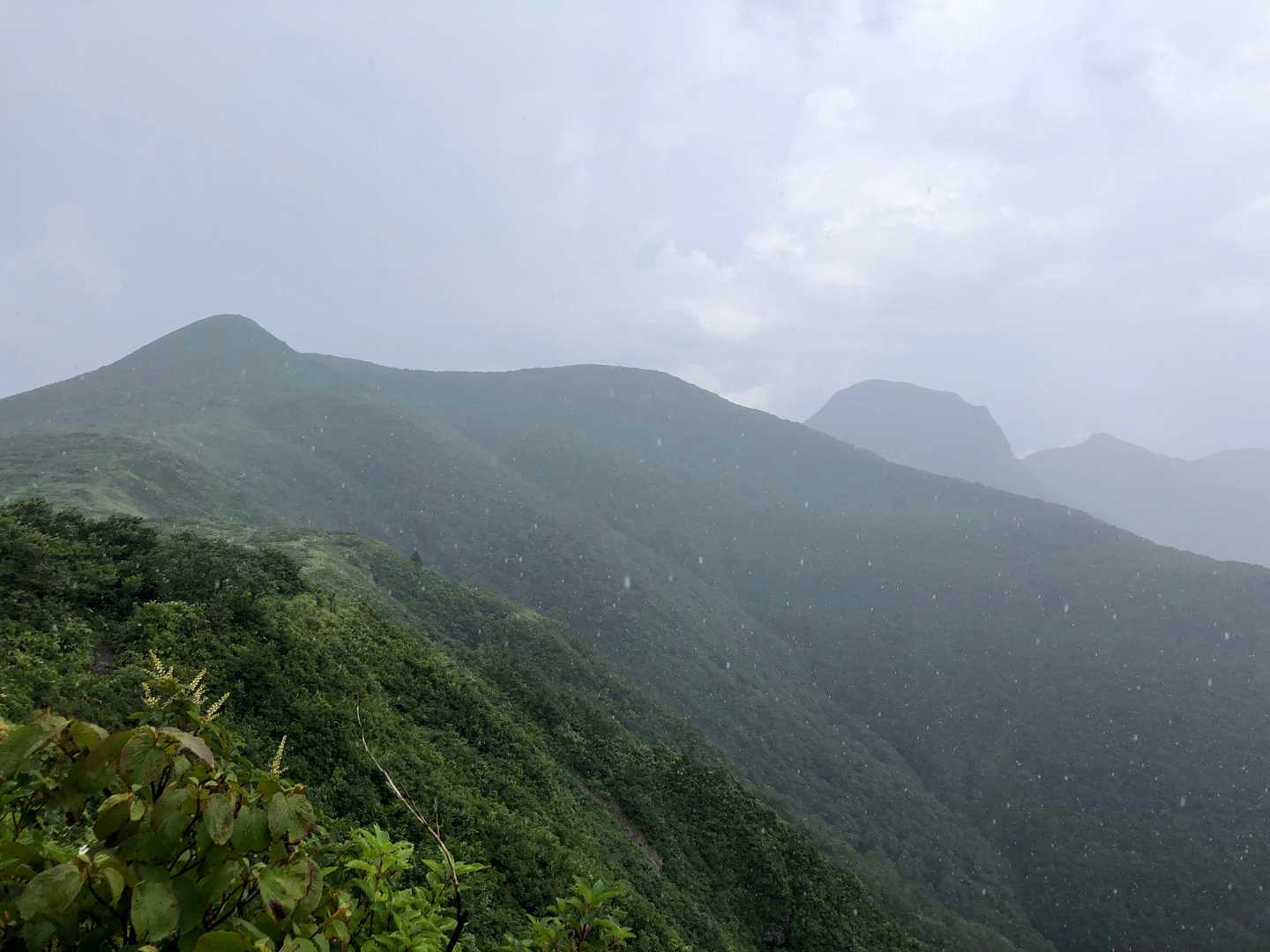 大粒の雨、スコール状態。
