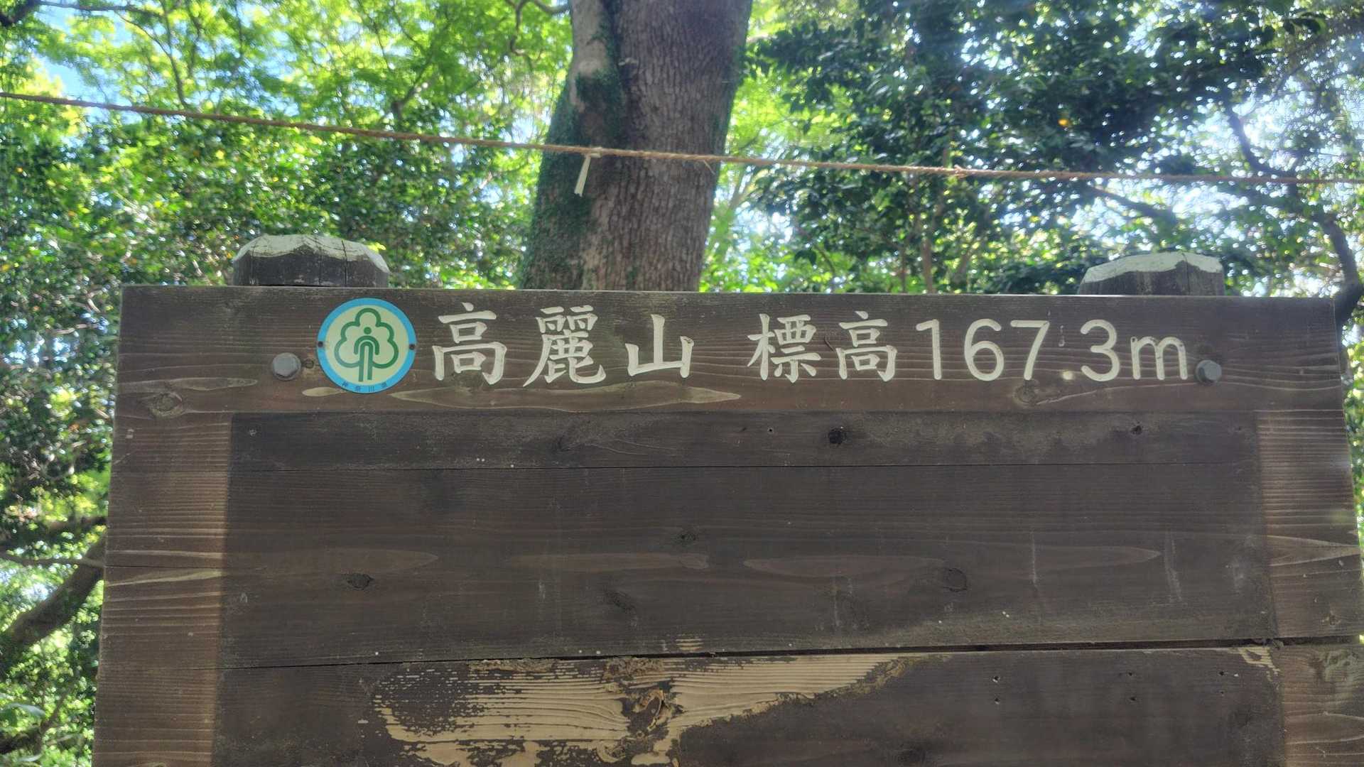 登ると高麗山山頂＼(^o^)／