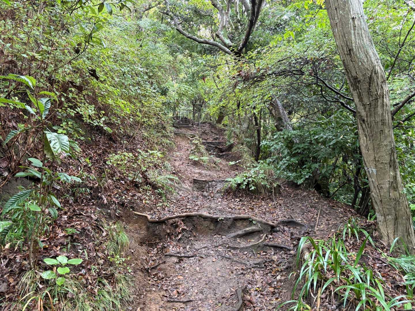 登山part①