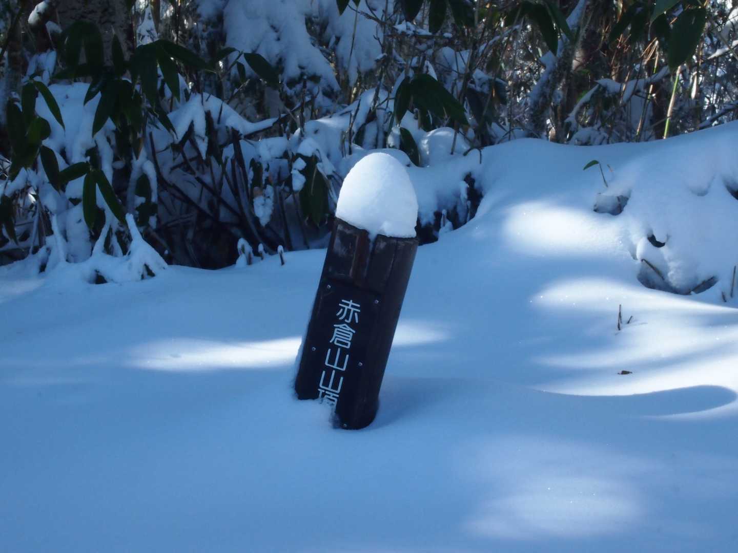 赤倉山（長野県下水内郡栄村）の写真