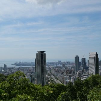 布引見晴らし公園
朝のうちなのに蒸し蒸しで暑くてたまらない