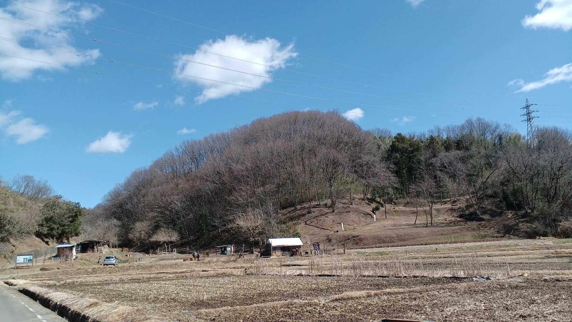 学習の森-崇台山 往復コースの写真