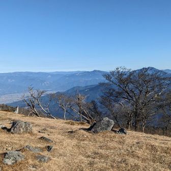 昨日の鉾岳ルートを思うと…
もう楽園ルート😄