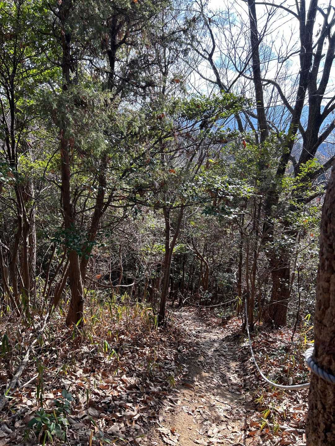 雲附登山口-石鎚神社-雲附山-白羽峠 周回コースの写真