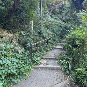 葛原岡ハイキングコースへ。