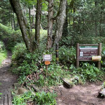 岳沢登山口到着