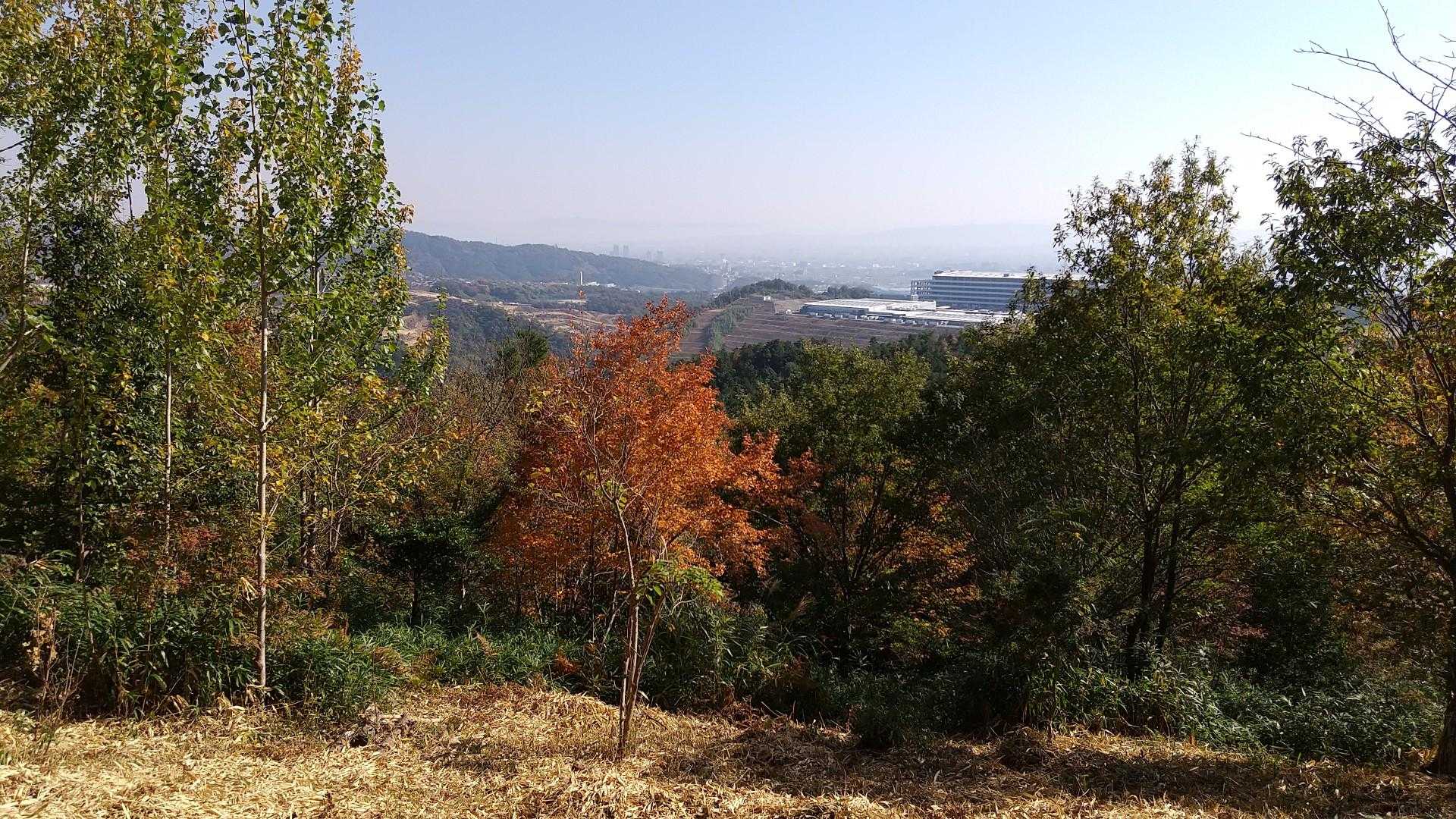 山頂の景色