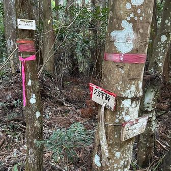 クヌギ峠を越えていく