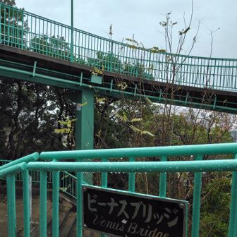 橋なんですね。