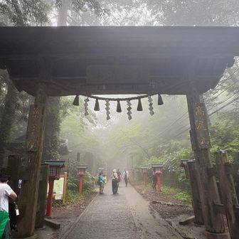 この門には深緑が似合います。
