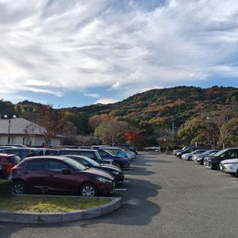 15時迄のランチ狙い失敗…超泣
少し走るべきでした…