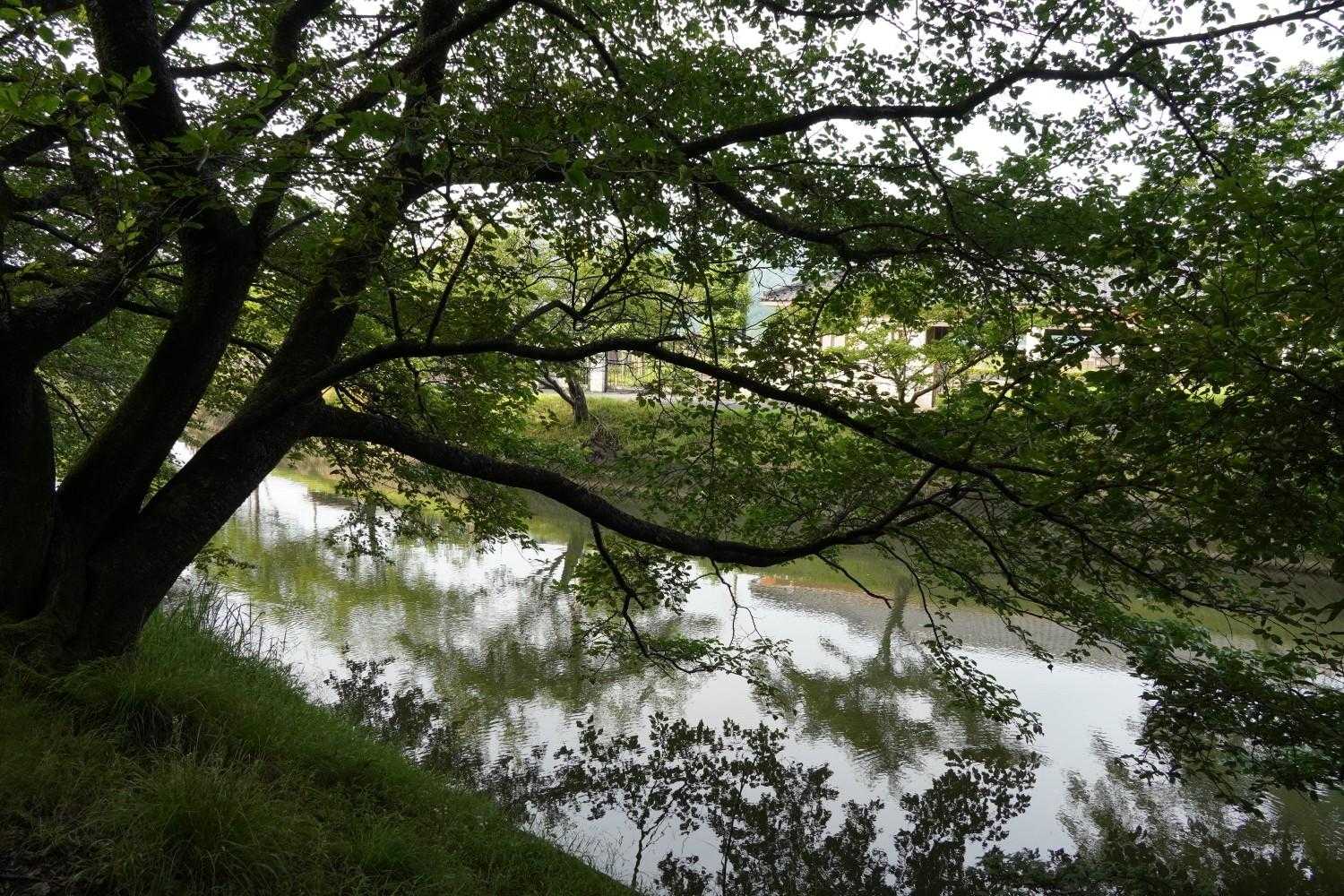 観音山登山口-観音山 周回コースの写真