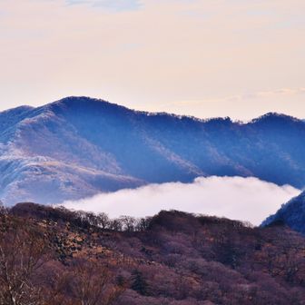 少し観える位置からのズーム撮りで！