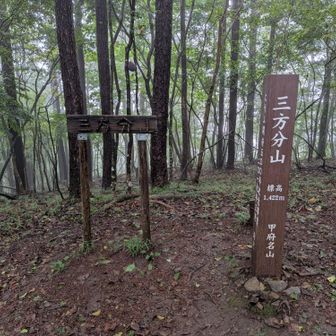 三方分山山頂。