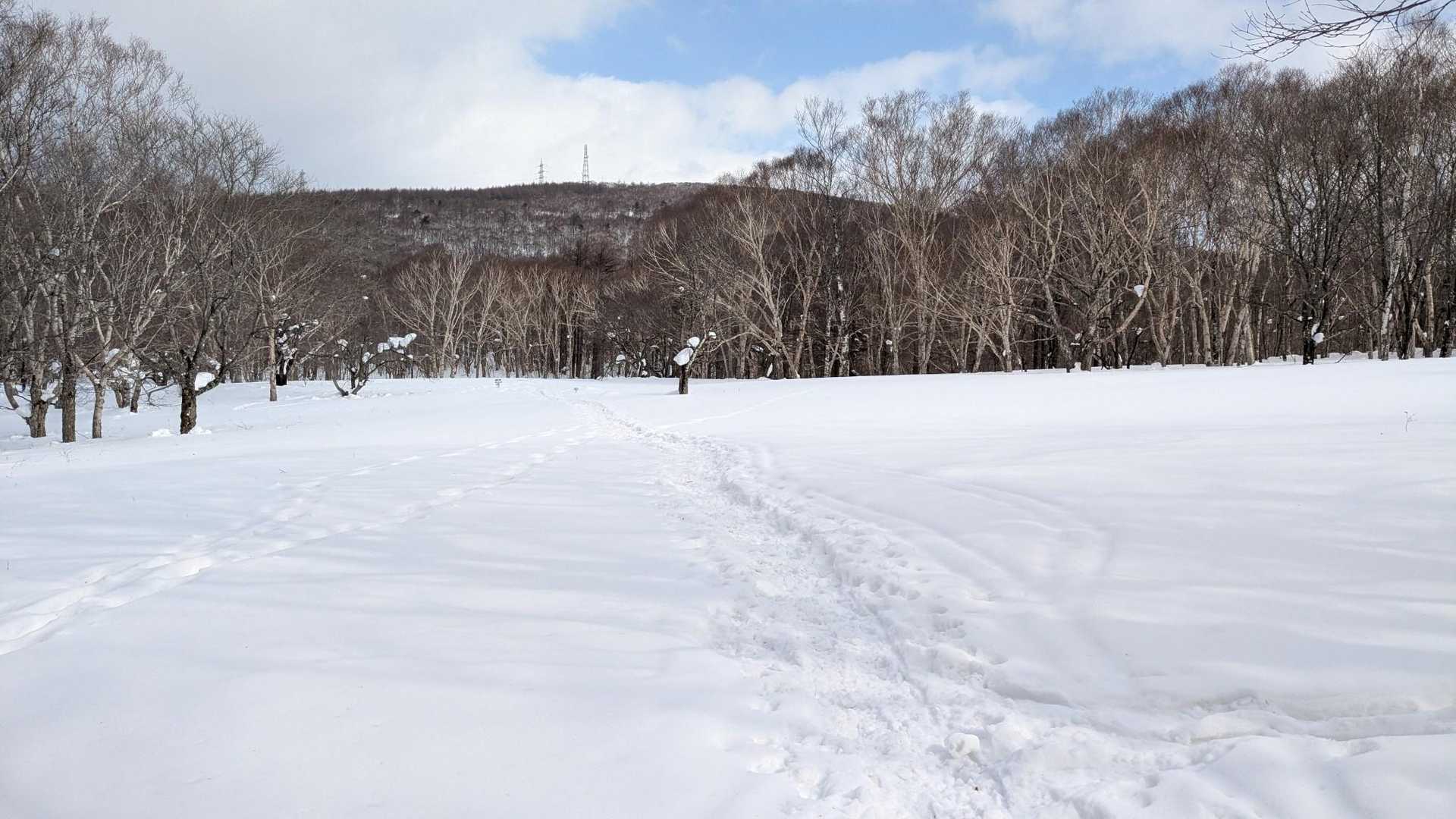 馬っこひろばからの岩神山