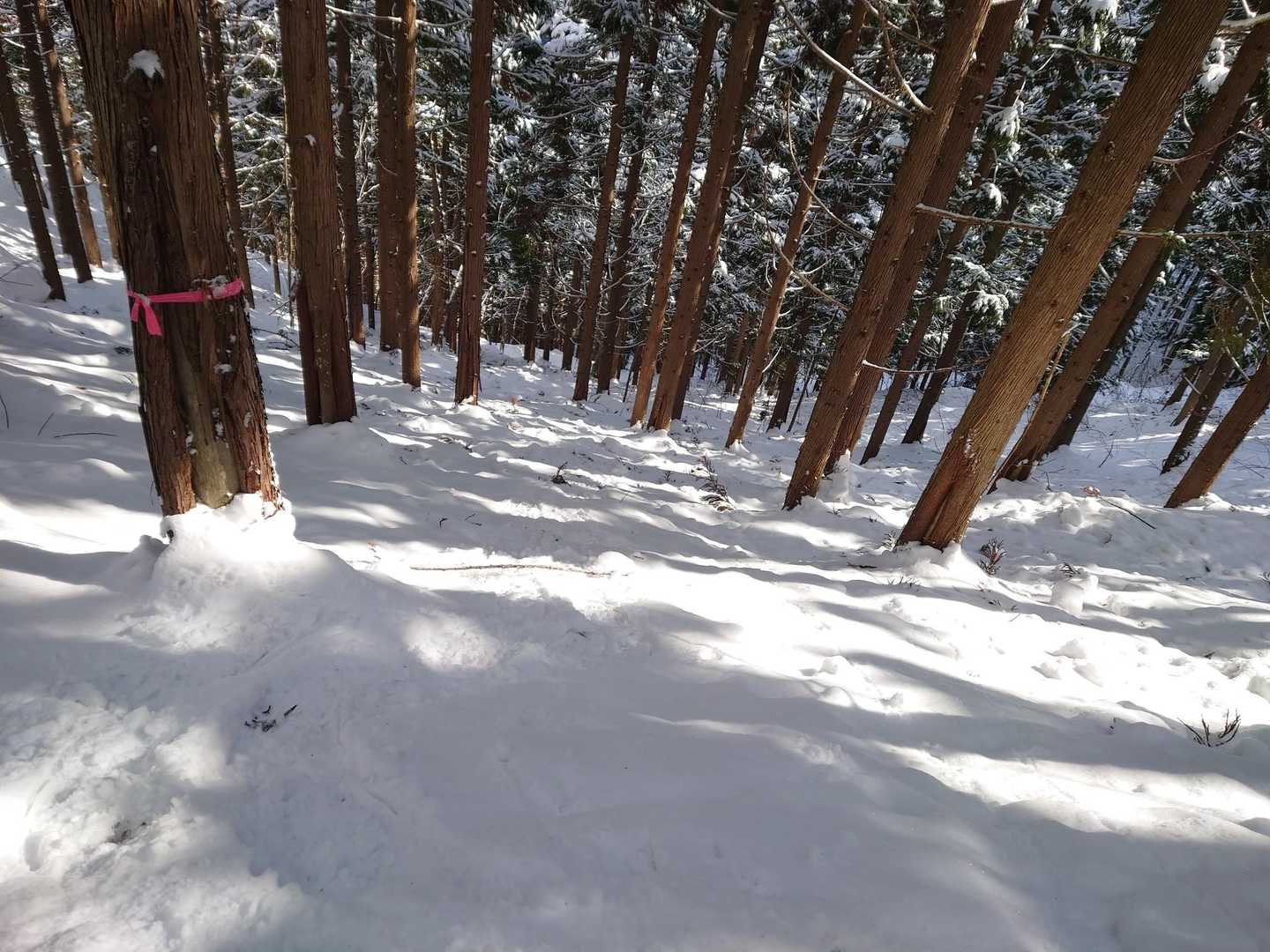この急登は下るのに神経使う
雪が固くスノーシューではスキーの様に滑り出す
アイゼン持って来なかった事に後悔する