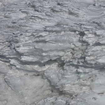 山頂はエビだらけ🦐✨