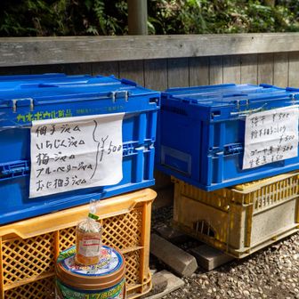無人の販売所有り。柚子とか梅とか。だいたい500円