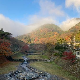 ✨　無くなり良い感じです。