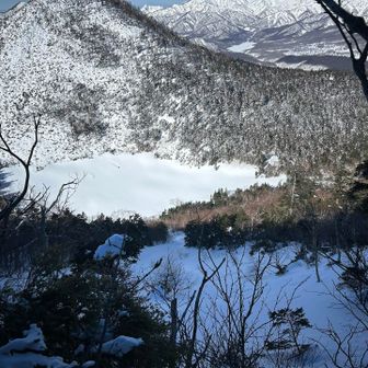 このシュート🤤