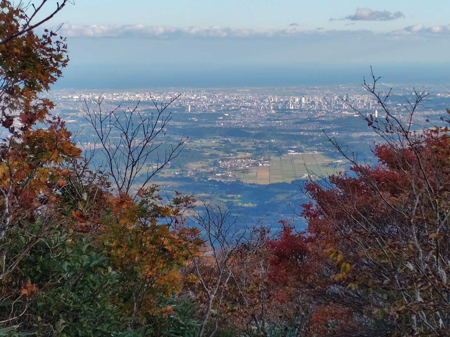 仙台市内