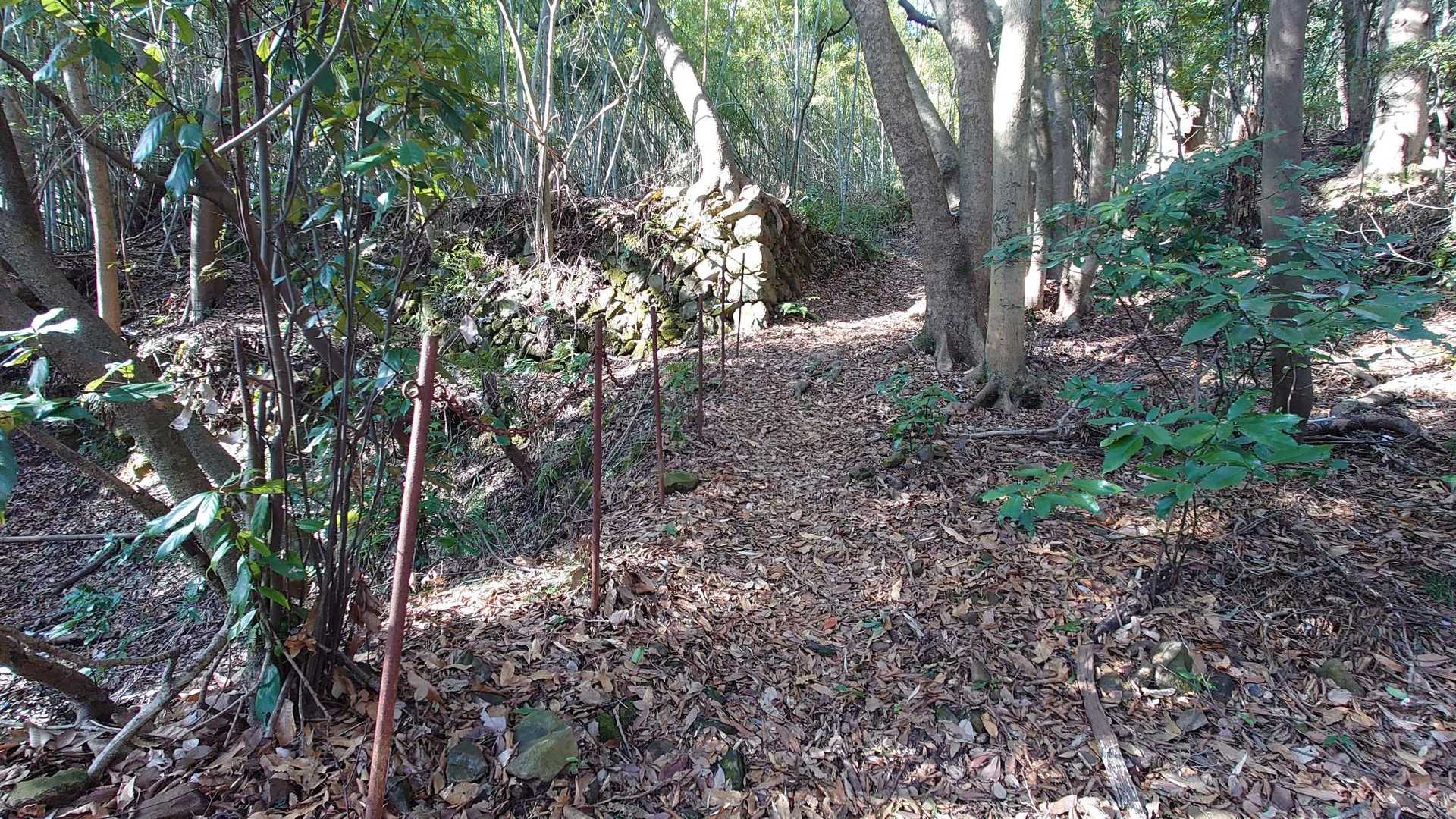 嶽山 周回コースの写真