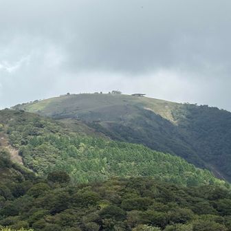 蓬莱山の山頂を捉えました