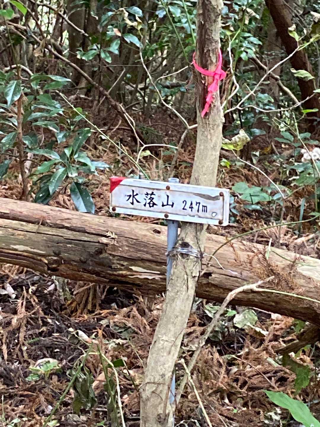 宮地嶽神社-宮地山-在自山-水落山-対馬見山-冨士白玉神社 縦走コースの写真