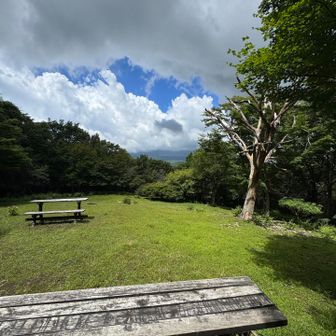 本当はここからも富士山ドーンのはず🗻
今日は残念…