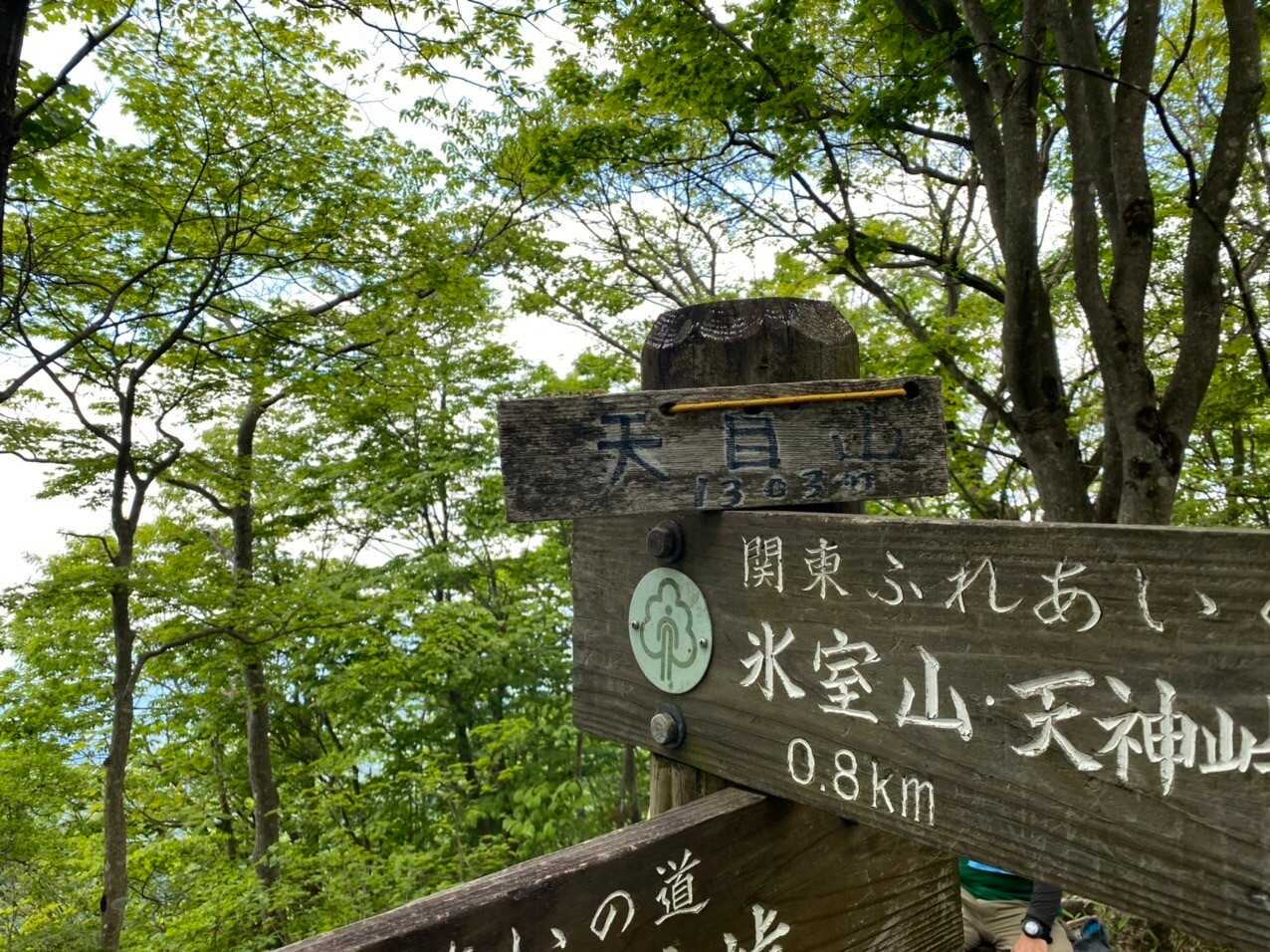 天目山の写真