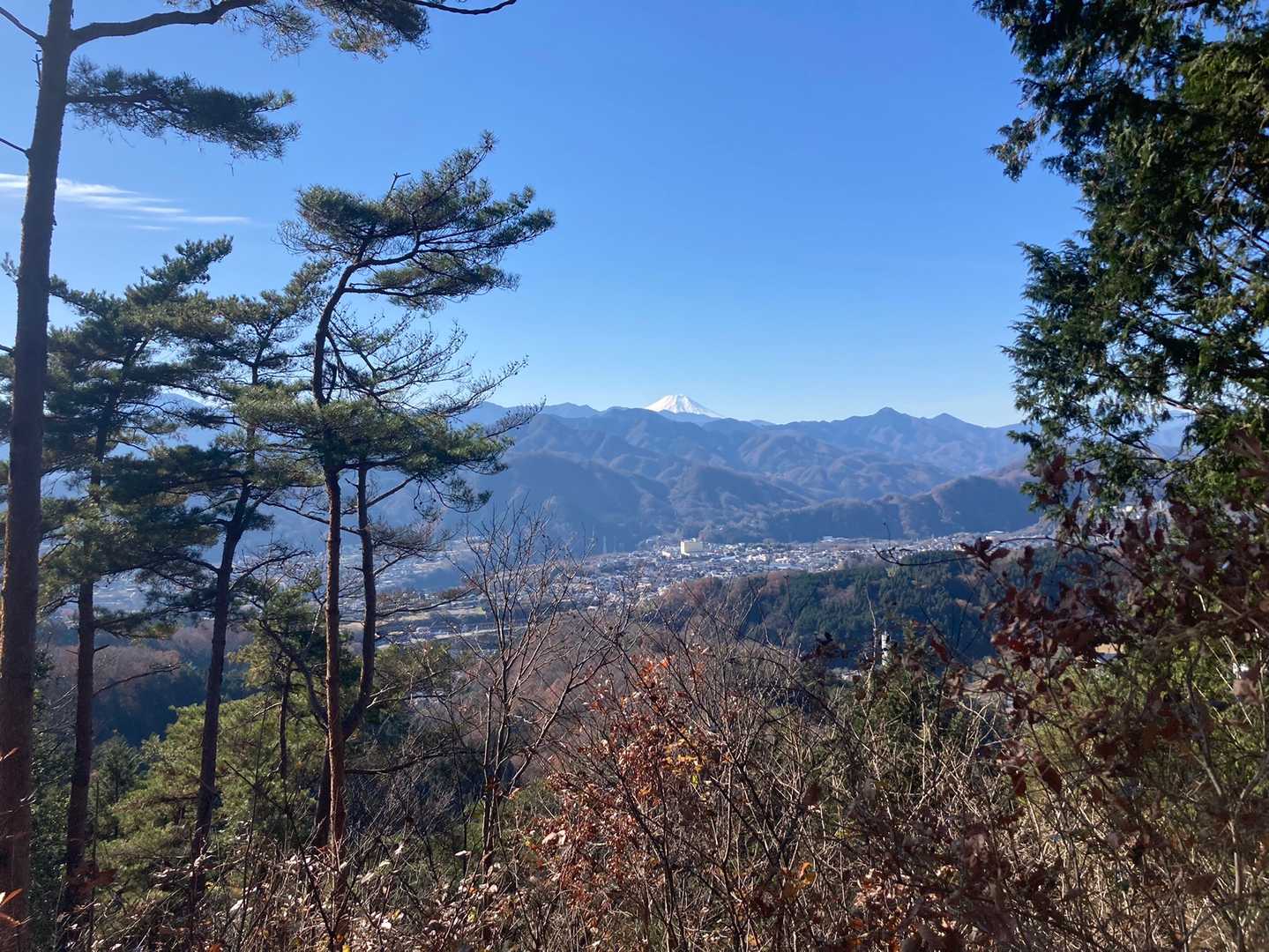 奥が富士山🗻