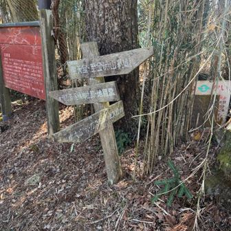 足柄古道の入り口があります。
見落とさないように👍