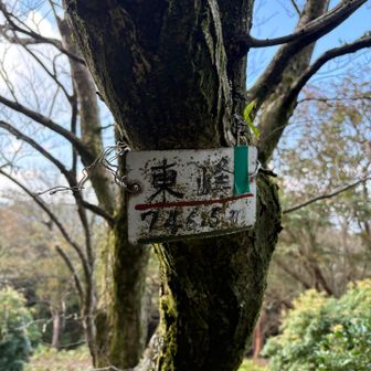 東峰からパノラマコースで下ります
