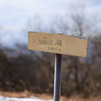 川胡桃沢の頭