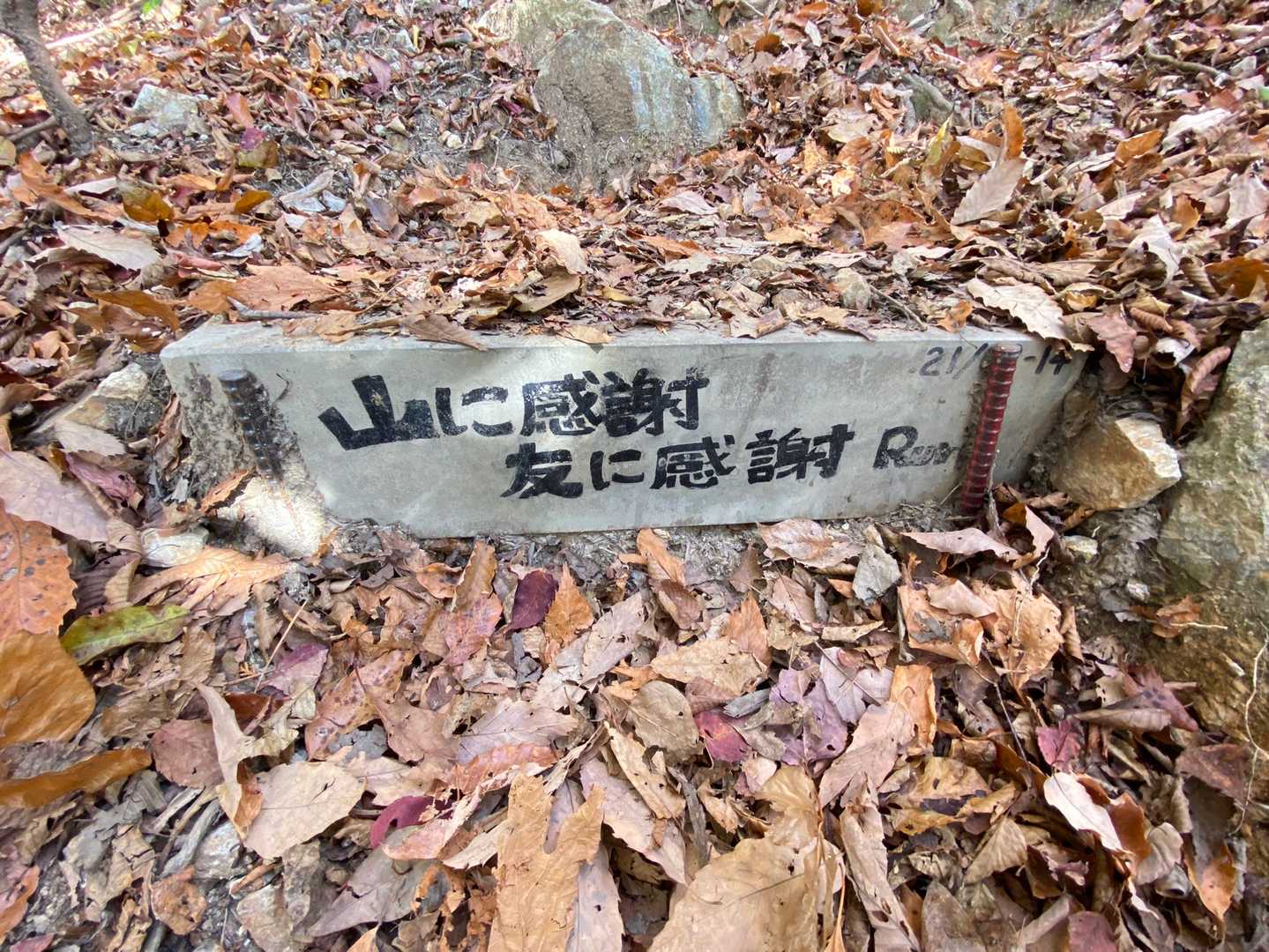 うん。ほんとそうだ