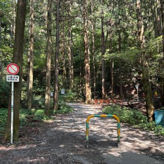 ここから旧甲州街道を小仏峠に向かって進む。この近辺で休んでいたら後続の方々が数名、慌てる様子も無く普通に歩いている。どうやら熊は離れて行ったようだ。