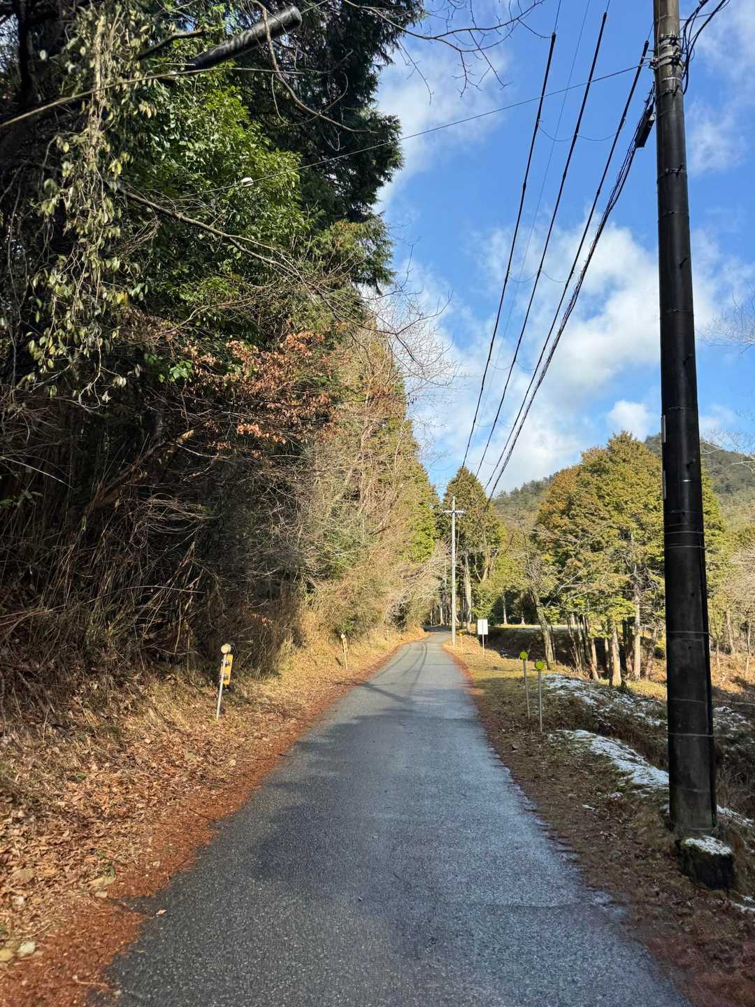 林道を歩いていきます