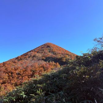 神の絨毯に例えた紅葉で有名になり過ぎても

やっぱし紅い栗駒山は行ってしまうんです

今年も美しい紅葉でした

ありがとうございました♪