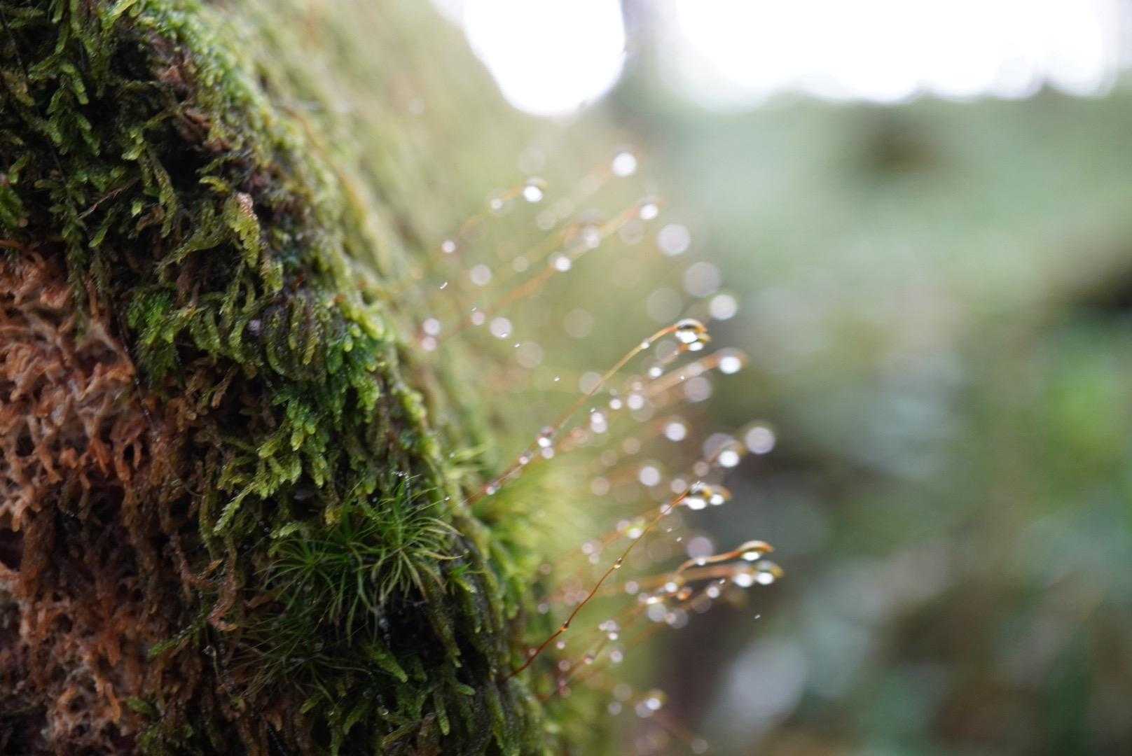 キラキラ✨