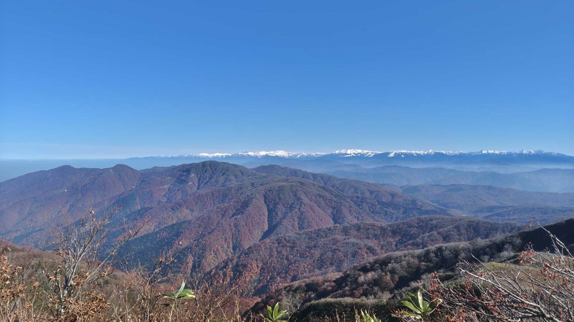栃谷登山口-片折岳-前金剛-中金剛-奥金剛-東俣登山口 周回コースの写真