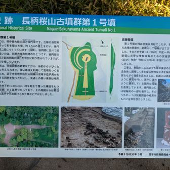 大きな古墳ですね