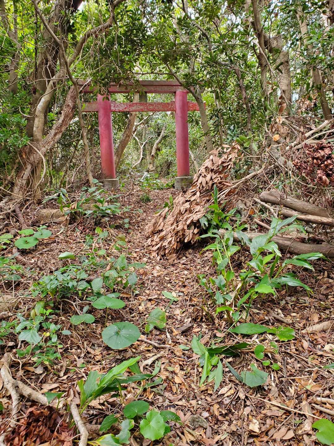 今岳神社の鳥居