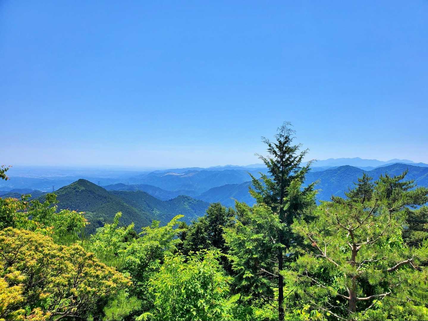 御岳山〜つるつる温泉｜ペットも歓迎の山上のパワースポットの写真