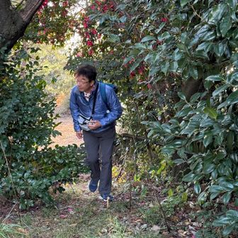 獣道ではなくて
人の勝手道🤭