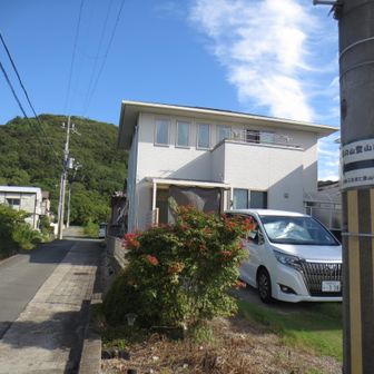 あちこちに案内があります