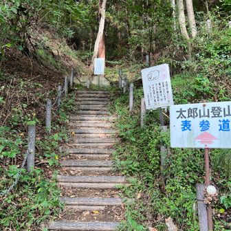 40分くらいで下山しました。
