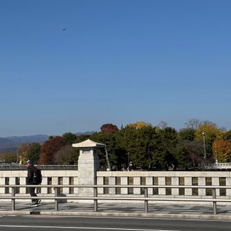 鴨川を渡ります。
銀閣寺道からここまでが長かった〜😢