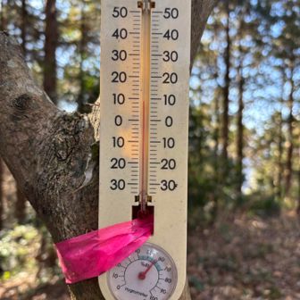 気温は10°cですが、暴風のため、体感温度は4〜5°cくらい！