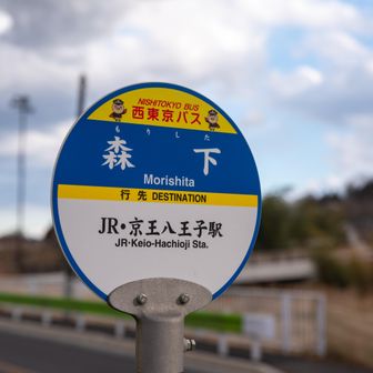 網代弁天山・網代城山 無事納品して近くのバス停でゴール